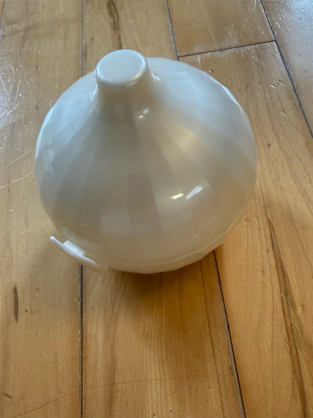 Tupperware Onion Keeper